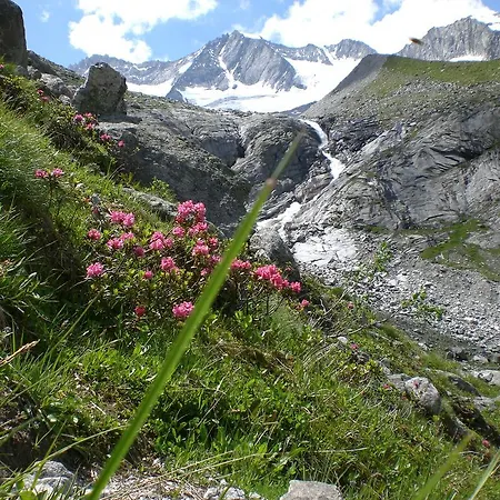 Garni Erler Otel Mayrhofen