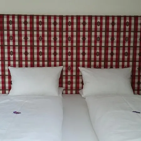 加尼埃勒尔旅馆 迈尔霍芬